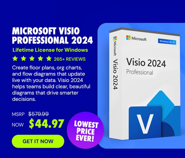 Microsoft Visio Professional 2024: Lifetime License for Windows