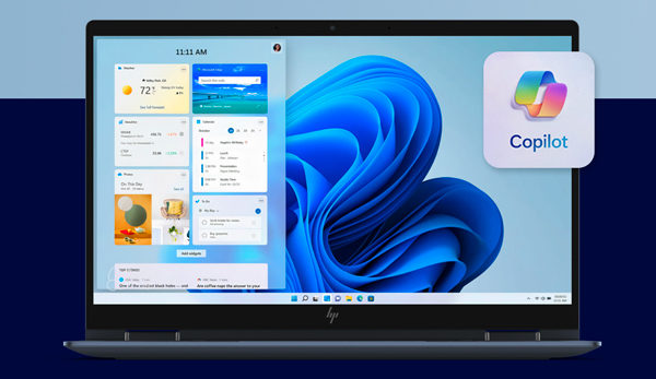Microsoft Windows 11 Pro