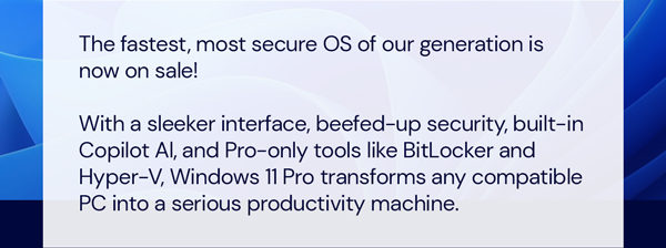 Microsoft Windows 11 Pro