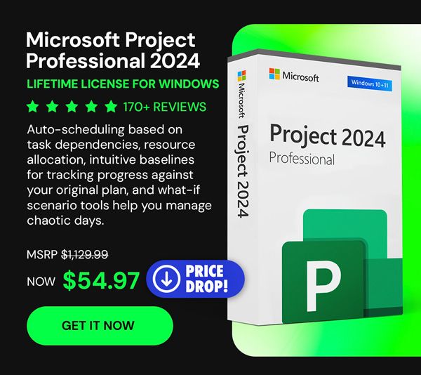 Microsoft Project Professional 2024: Lifetime License for Windows