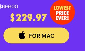 Intuit QuickBooks Desktop Pro Plus 2024 (1 User): Lifetime License