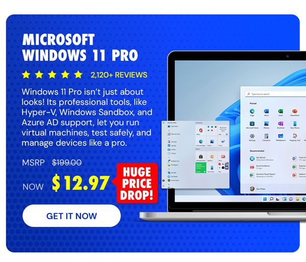 Microsoft Windows 11 Pro
