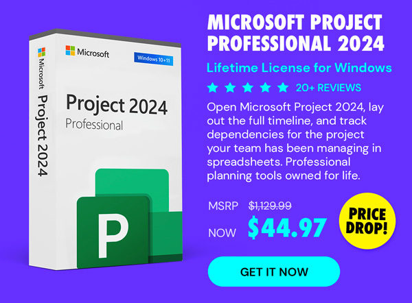 Microsoft Project Professional 2024: Lifetime License for Windows