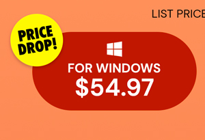 Microsoft Office Professional 2021 for Windows: Lifetime License