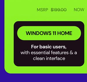 Microsoft Windows 11 Home Lifetime License