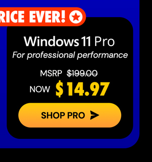 Microsoft Windows 11 Pro