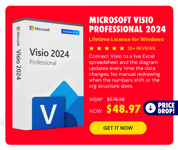 Microsoft Visio Professional 2024: Lifetime License for Windows