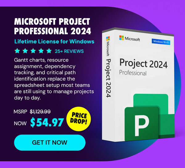 Microsoft Project Professional 2024: Lifetime License for Windows