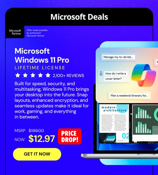 Microsoft Windows 11 Pro