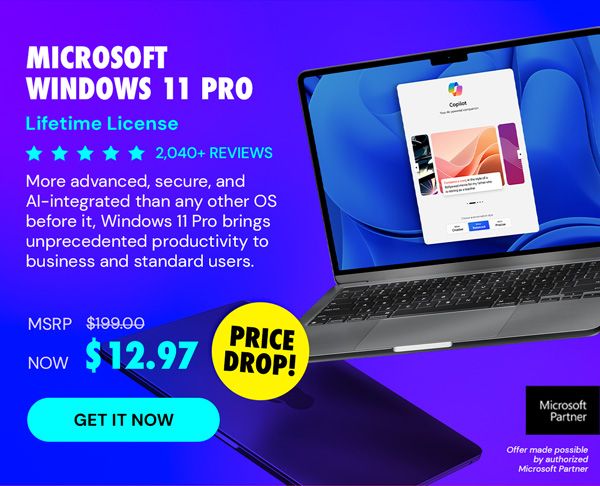 Microsoft Windows 11 Pro
