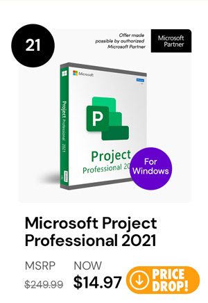 Microsoft Project Professional 2021 for Windows