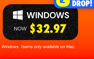 Microsoft Office Professional Plus 2019 for Windows | Lifetime License