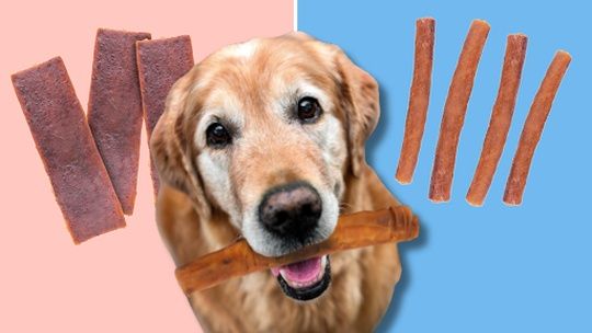 We found a way to get your dog to love you even more