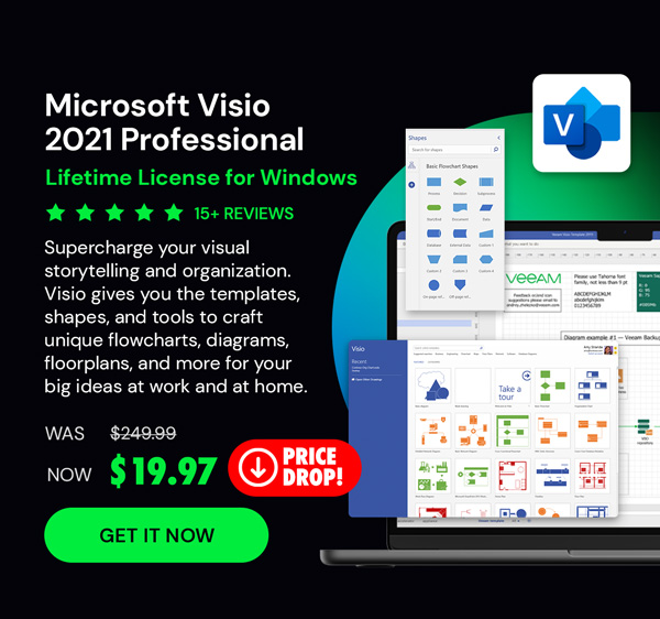 Microsoft Visio 2021 Professional for Windows