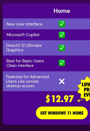 Microsoft Windows 11 Home