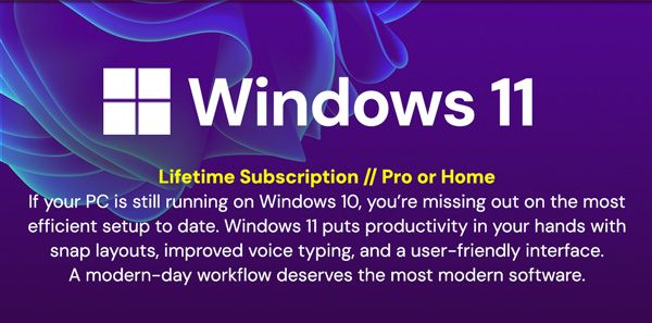 Microsoft Windows 11 Pro or Home