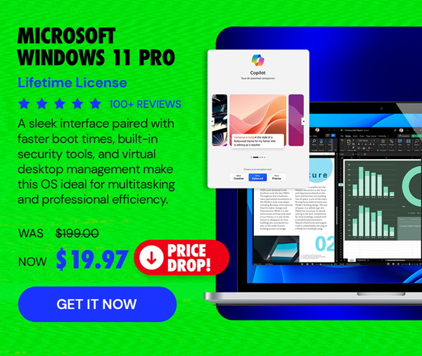 Microsoft Windows 11 Pro