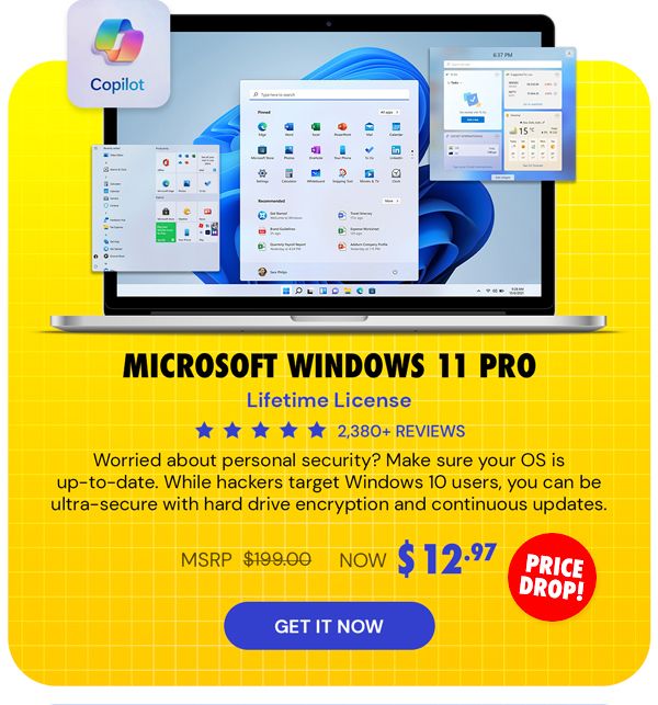 Microsoft Windows 11 Pro