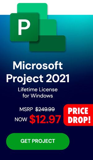 Microsoft Project 2021 Professional: Lifetime License for Windows