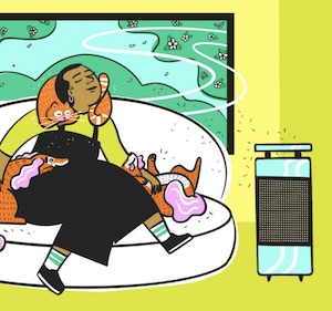 Do air purifiers really help with allergies?