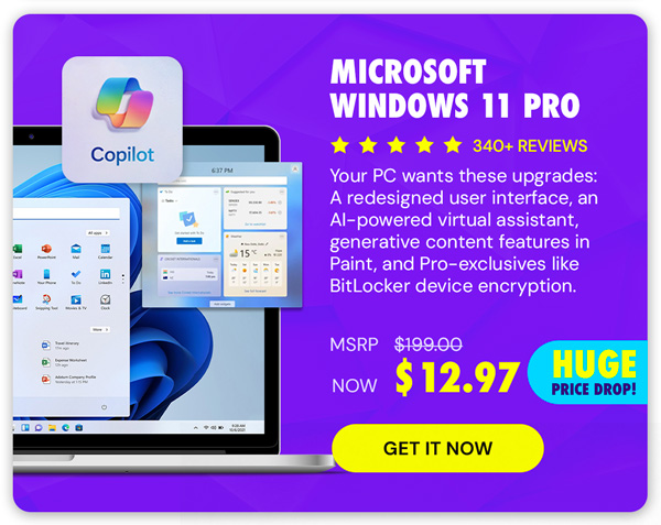 Microsoft Windows 11 Pro