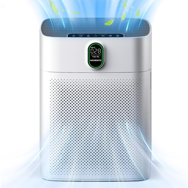 Air Purifier for Large Rooms