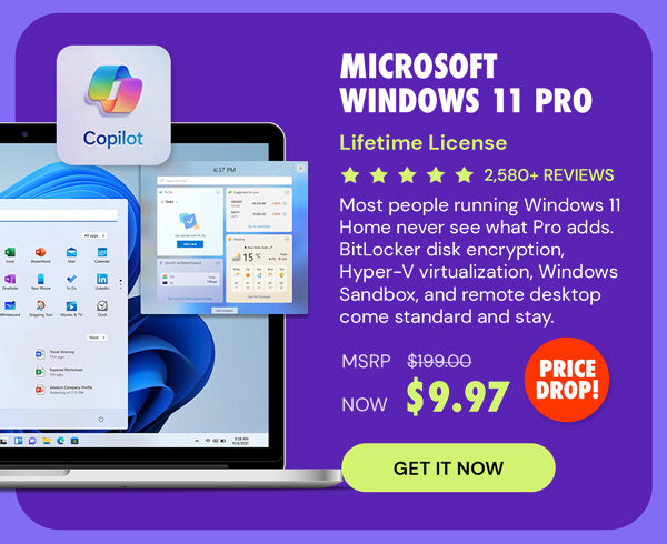 Microsoft Windows 11 Pro