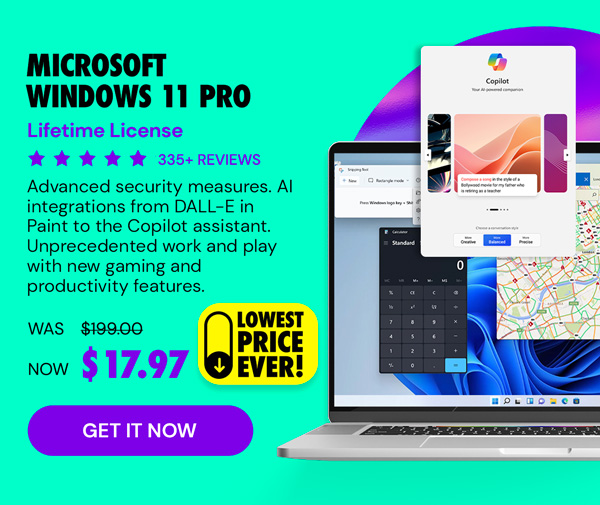 Microsoft Windows 11 Pro