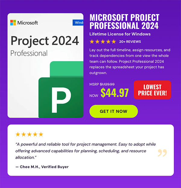 Microsoft Project Professional 2024: Lifetime License for Windows