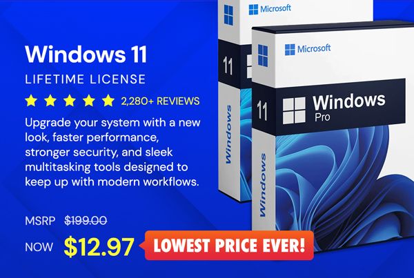 Microsoft Windows 11 Pro