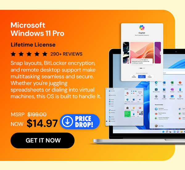 Microsoft Windows 11 Pro
