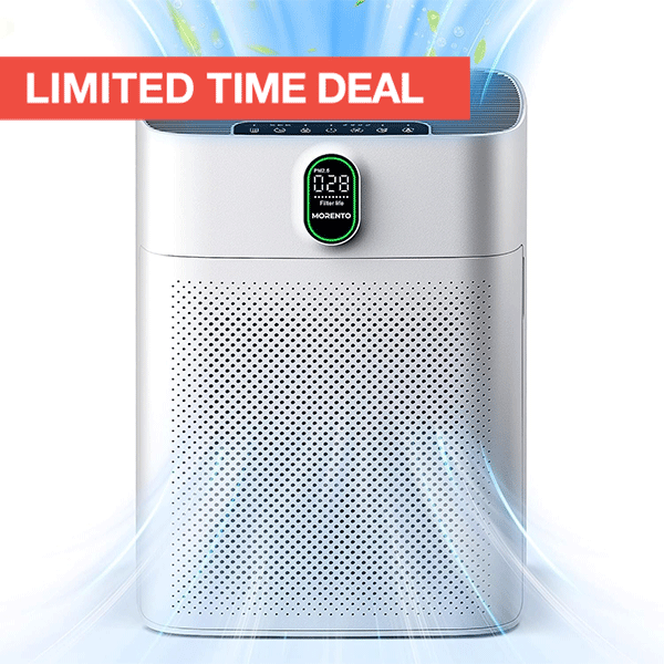 Air Purifier for Large Rooms (1076 sq. ft.)