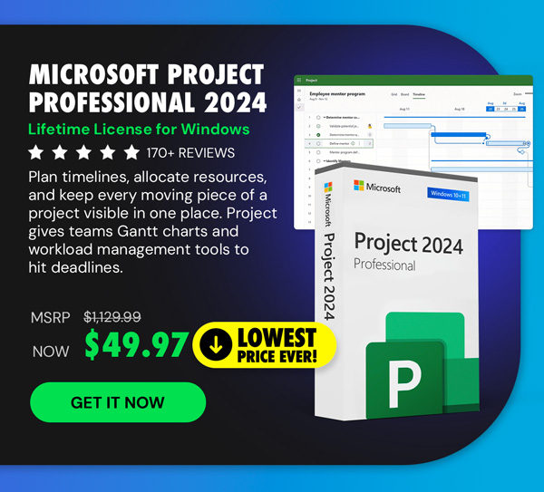 Microsoft Project Professional 2024: Lifetime License for Windows