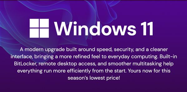 Microsoft Windows 11 Pro or Home
