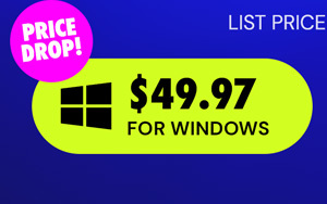 Microsoft Office Professional 2021 for Windows: Lifetime License (Non Binding)
