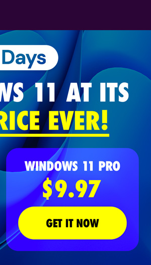 Microsoft Windows 11 Pro