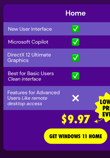 Microsoft Windows 11 Home