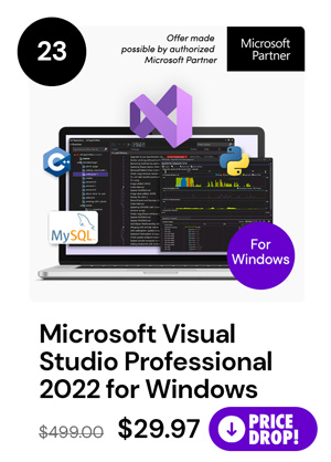 Microsoft Visual Studio Professional 2022 for Windows