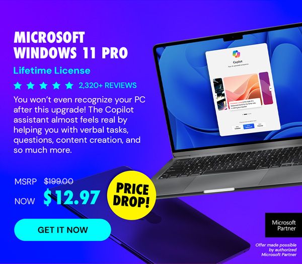 Microsoft Windows 11 Pro