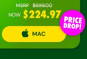 Intuit QuickBooks Desktop Pro Plus 2024 (1 User): Lifetime License