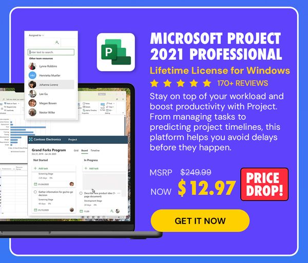 Microsoft Project 2021 Professional: Lifetime License for Windows