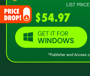 Microsoft Office Professional 2021 for Windows: Lifetime License