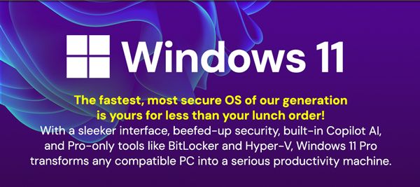 Microsoft Windows 11 Pro or Home
