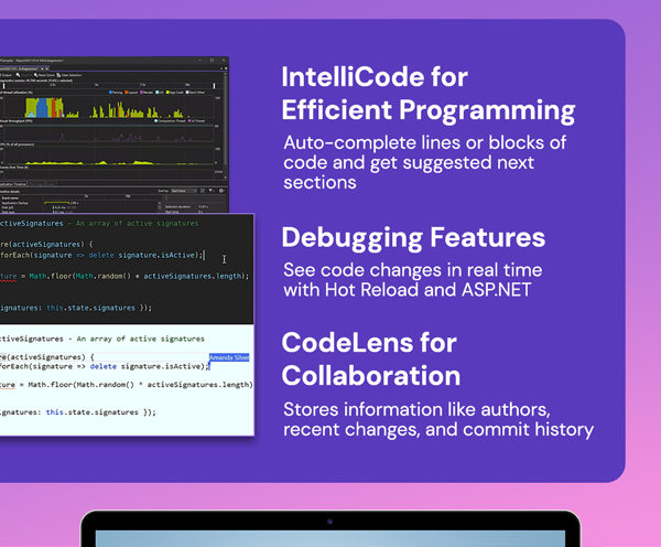 Microsoft Visual Studio Professional 2026 + The Premium Learn to Code Certification Bundl