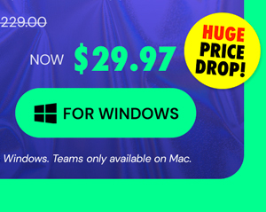 Microsoft Office Professional Plus 2019 for Windows | Lifetime License