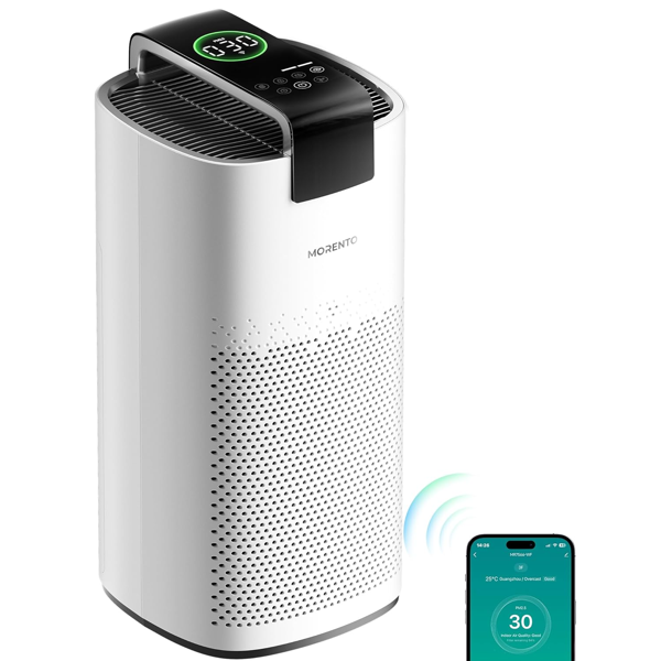 Large Room Air Purifier