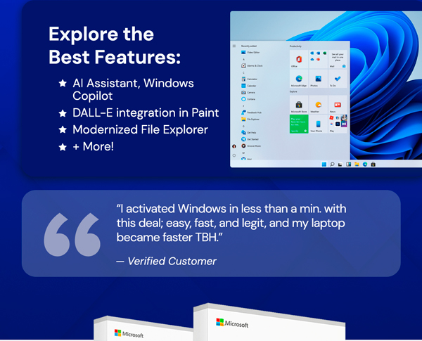 Microsoft Windows 11 Pro