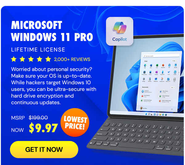 Microsoft Windows 11 Pro