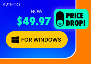 Microsoft Office Professional 2021 for Windows: Lifetime License