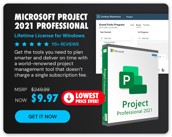 Microsoft Project 2021 Professional: Lifetime License for Windows